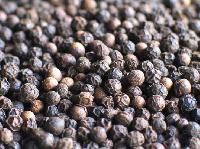 Manufacturers Exporters and Wholesale Suppliers of Black Pepper Seeds Hanumangarh Jn. Rajasthan